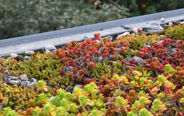 the cost of Harbourland green roof installation